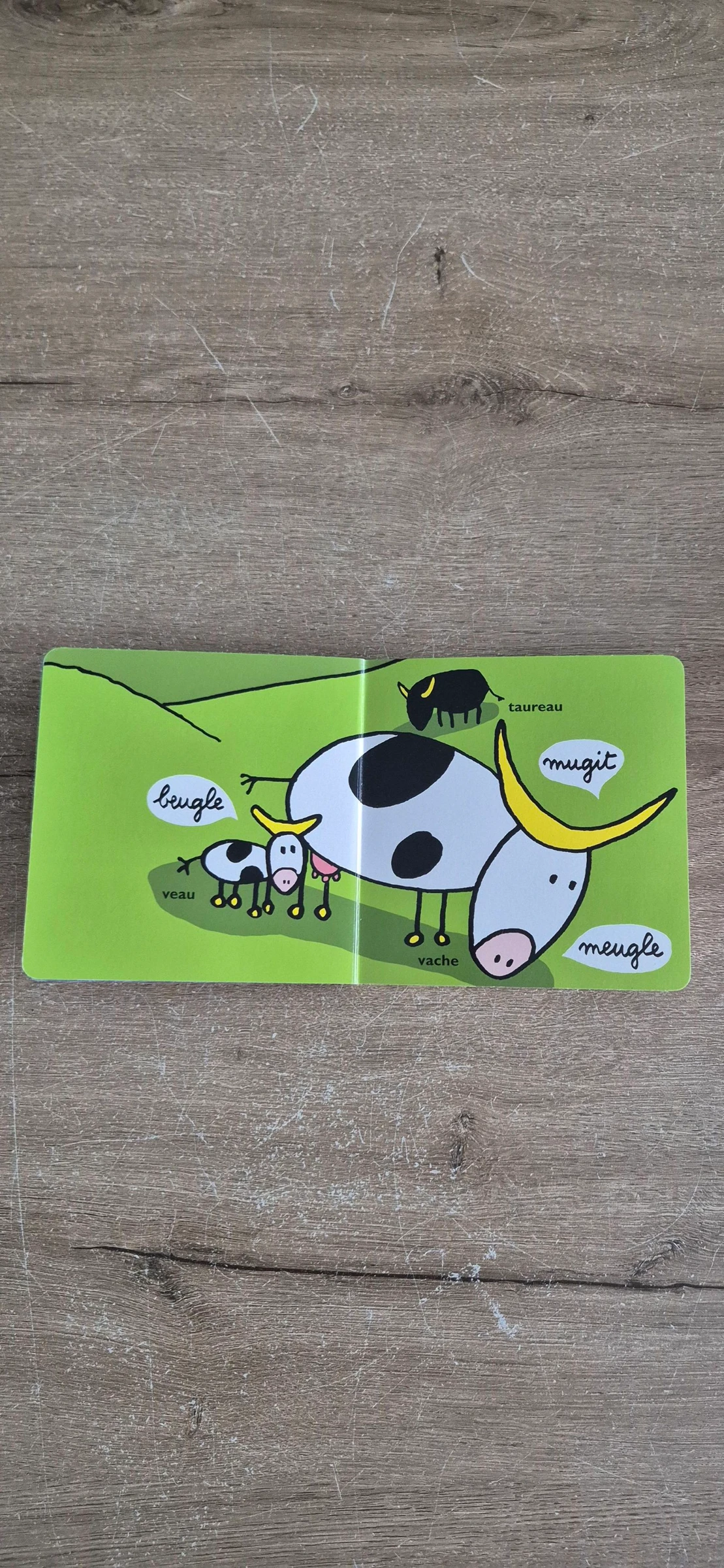 O livro dos gritos – photo 2